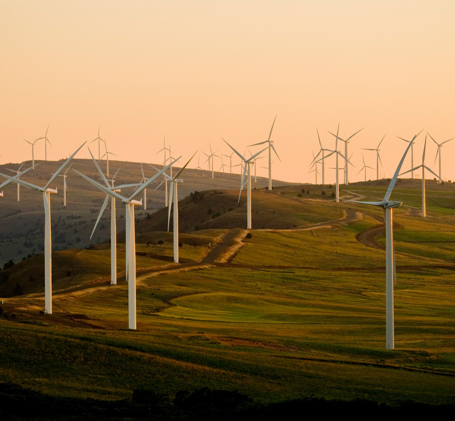 Wind turbines across rolling hills at sunset