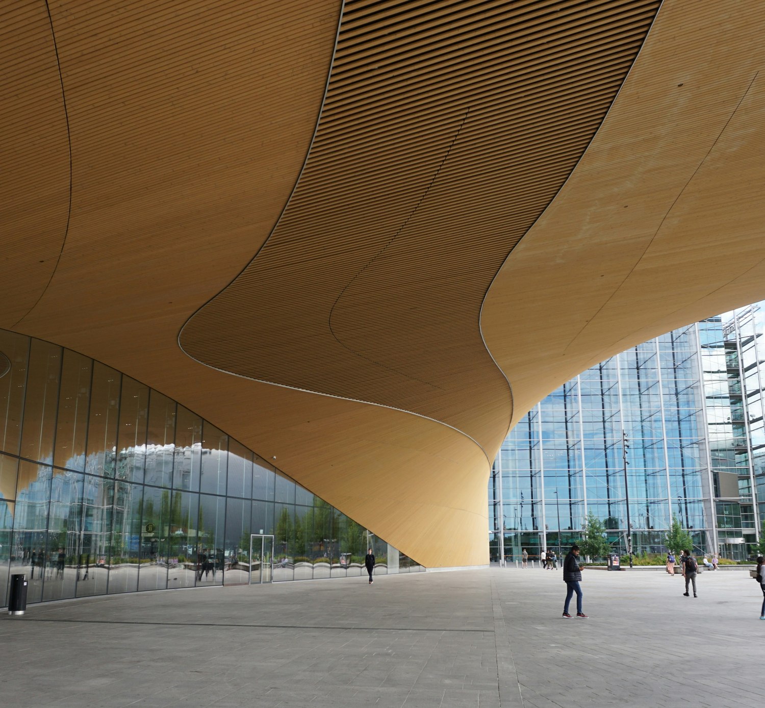Sweeping wooden canopy over a modern institutional building